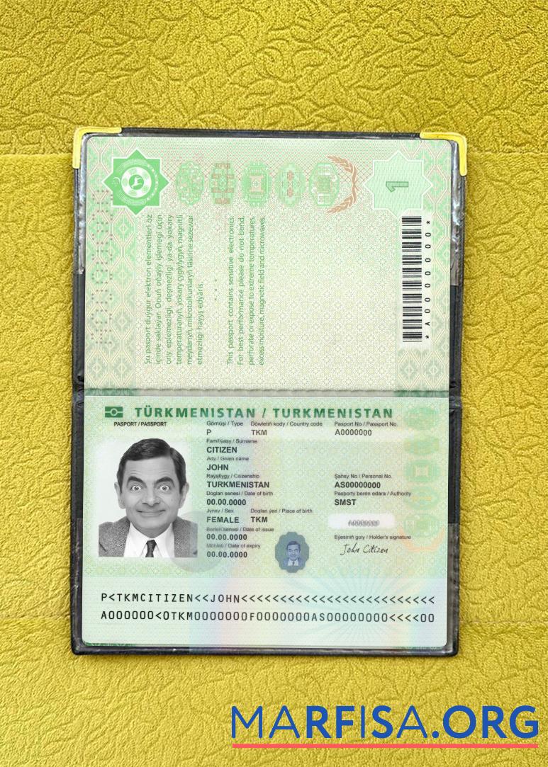 Realistic Turkmenistan passport 2020 present photolook real example